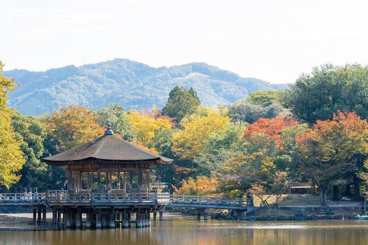 Private Tour of Nara with Todaiji Deer and Kasuga Taisha