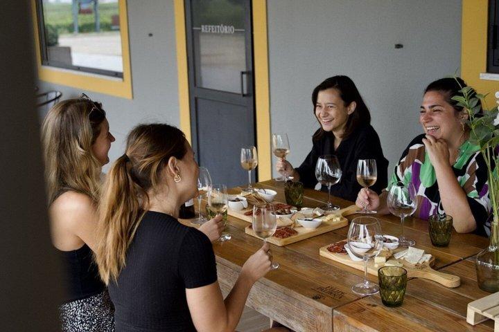 Setúbal Wine Tour da Lisbona Piccolo Gruppo, Degustazioni e Pranzo