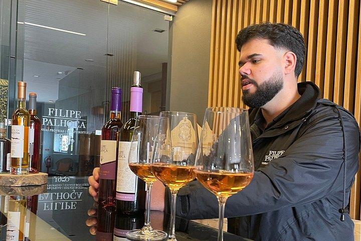 リスボン小グループからのセトゥーバルワインツアー、試飲とランチ