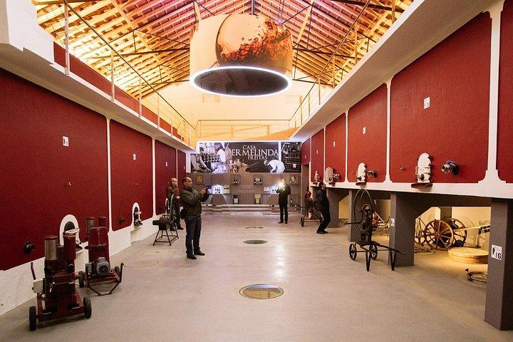 リスボン小グループからのセトゥーバルワインツアー、試飲とランチ
