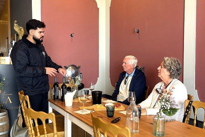 リスボン小グループからのセトゥーバルワインツアー、試飲とランチ