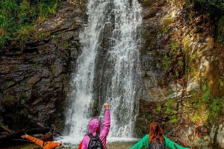 Half Day Tour Waterfalls with Activities from Batumi