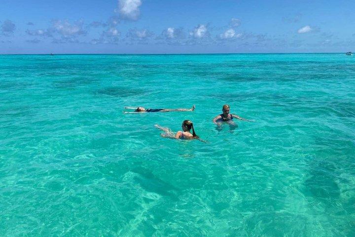 Snorkeling de día completo en el norte de Zanzíbar, tortugas y puesta de sol