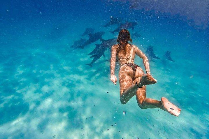 Snorkeling de día completo en el norte de Zanzíbar, tortugas y puesta de sol