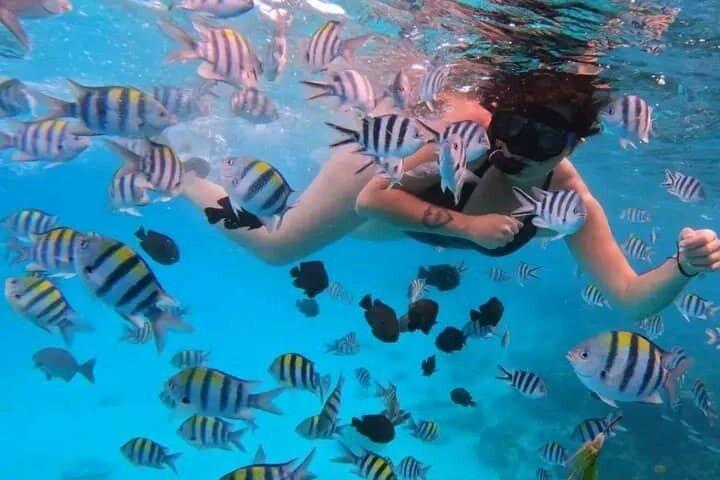 Snorkeling de día completo en el norte de Zanzíbar, tortugas y puesta de sol
