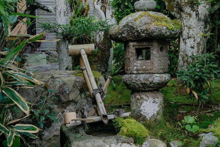 京都の本格プライベート茶道と武家の伝統