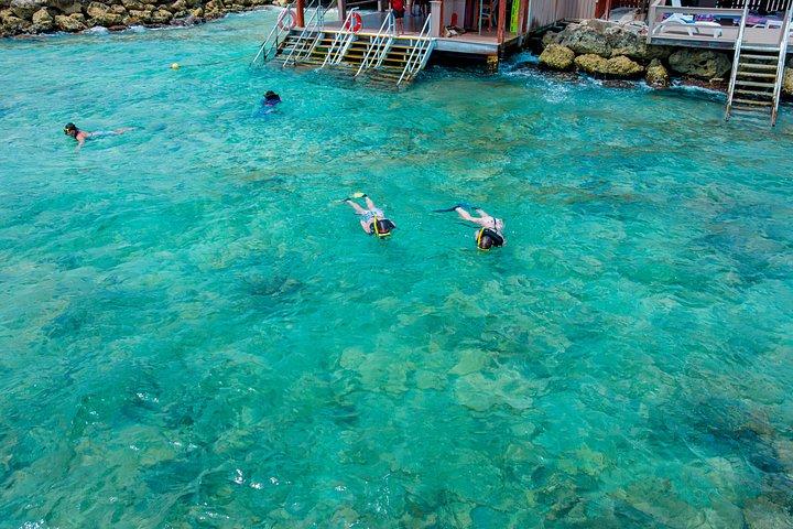 アルバ・デ・パーム島オールインクルーシブ日帰り旅行（送迎付き）