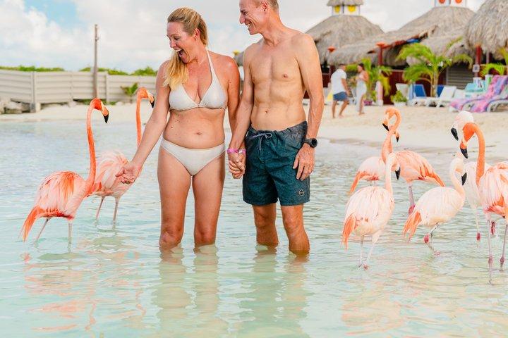 Aruba De Palm Island All-Inclusive Tagesausflug mit Transport
