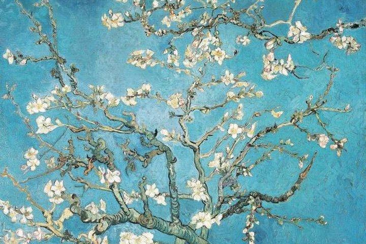 Tour ad accesso riservato del Museo Van Gogh di Amsterdam