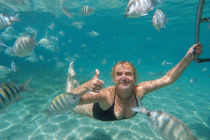 Tour in motoscafo di un'intera giornata ad Angra e nelle isole con prelievo a Rio