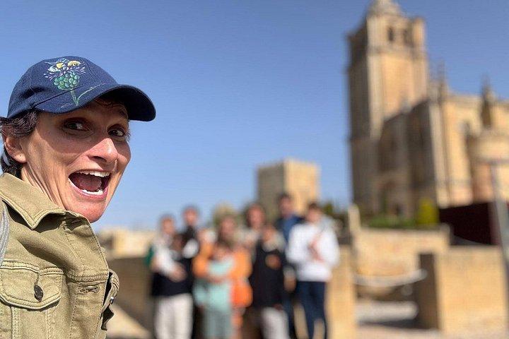 グラナダからフォルタレザ デ ラ モタとアルカラ ラ レアルへの日帰り旅行
