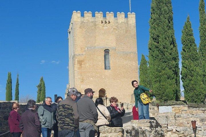 グラナダからフォルタレザ デ ラ モタとアルカラ ラ レアルへの日帰り旅行
