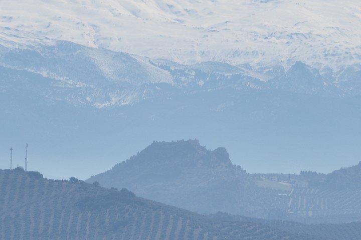 グラナダからフォルタレザ デ ラ モタとアルカラ ラ レアルへの日帰り旅行