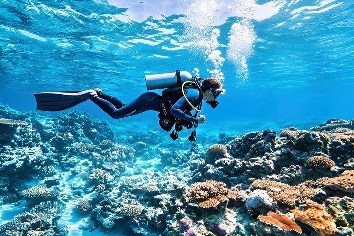 3 - i - 1 Orange Bay, Dolphin House, Dykningskryssning i Hurghada