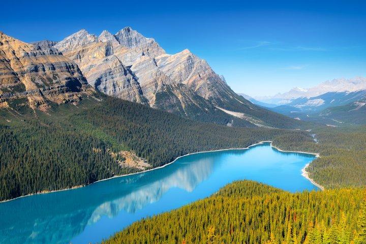 Icefields Parkway Small Group Tour com Lago Peyto e Almoço
