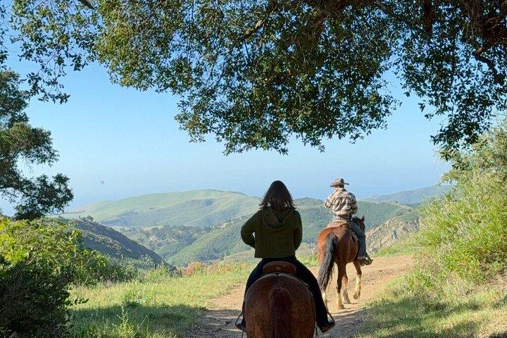 Private Horseback Riding and Wine Tasting Tour