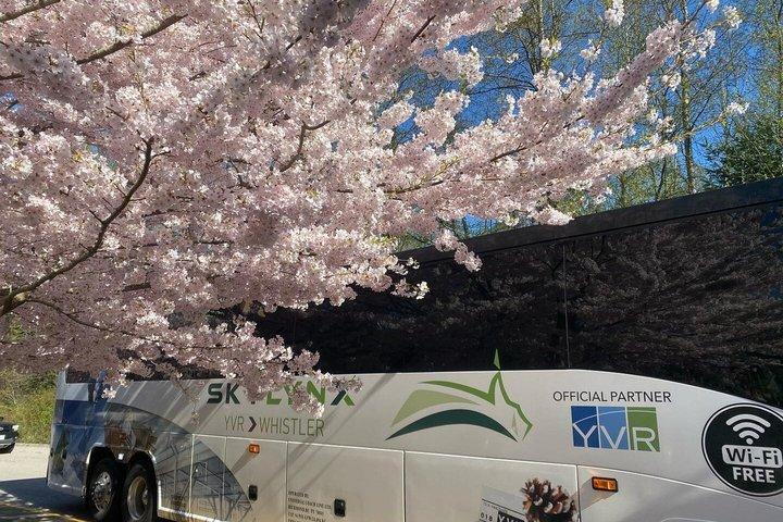 Vancouver Bus Transfer from or to Whistler