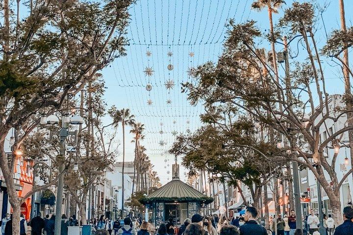 LA Private Tour : Beverly Hills, Santa Mônica, Veneza + 55 pontos turísticos