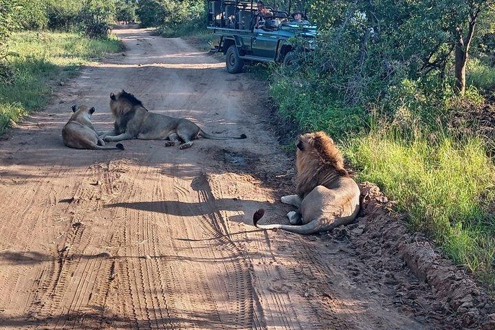 2 notti di safari privato al Kruger Park e Panorama Route