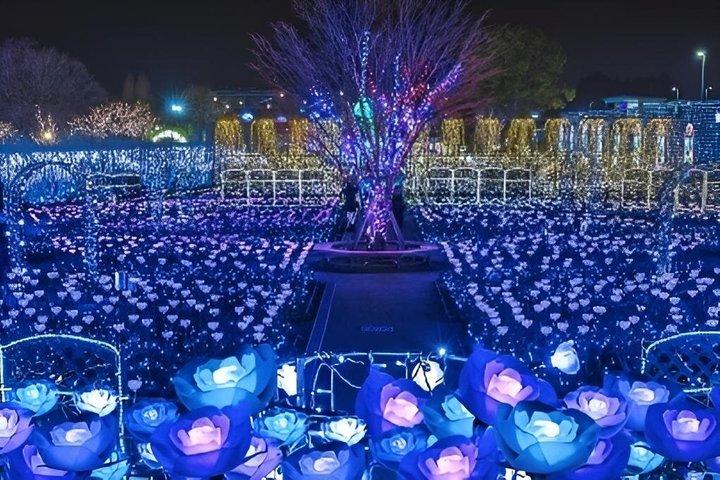 Ashikaga Flower Park Illumination & Strawberry Picking