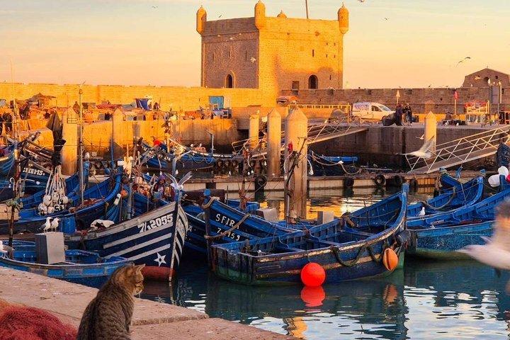 Marrakech: Day Trip to Essaouira ( Mogador )