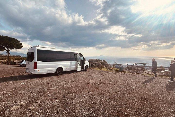 ナポリからのヴェスヴィオ山半日旅行
