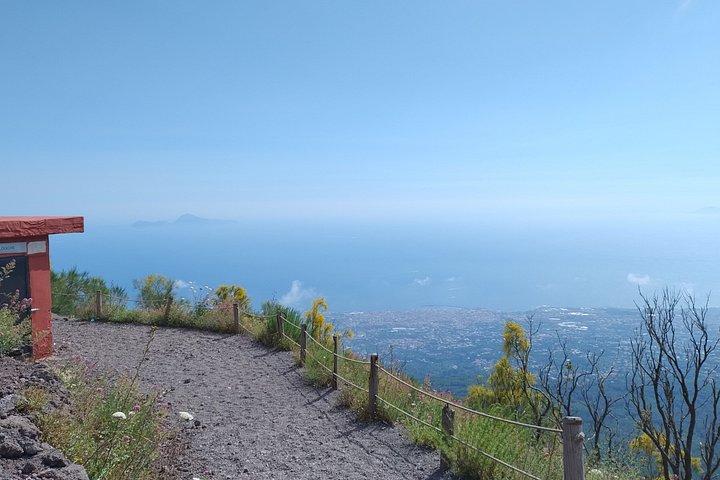 ナポリからのヴェスヴィオ山半日旅行