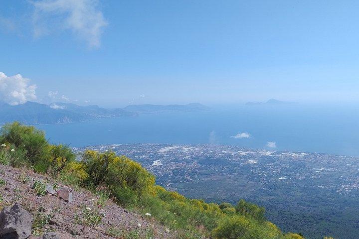 ナポリからのヴェスヴィオ山半日旅行