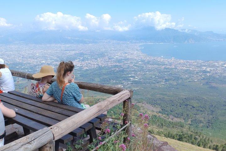 Viagem de meio dia ao Monte Vesúvio saindo de Nápoles