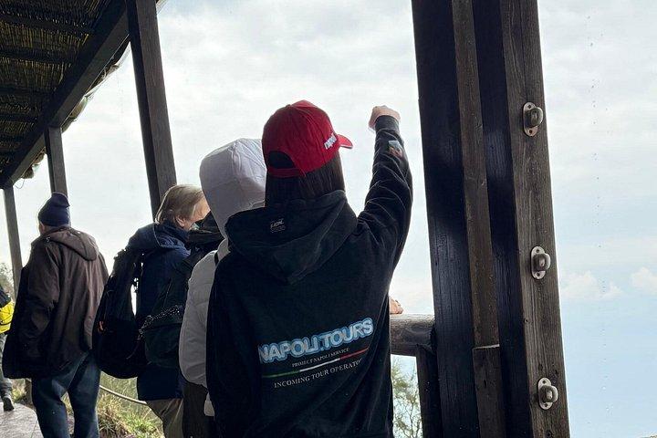 ナポリからのヴェスヴィオ山半日旅行