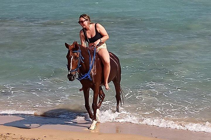 フルガダのサンセットホースライディングアドベンチャー砂漠と海