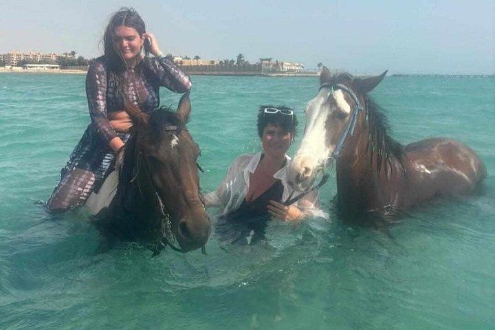 フルガダのサンセットホースライディングアドベンチャー砂漠と海