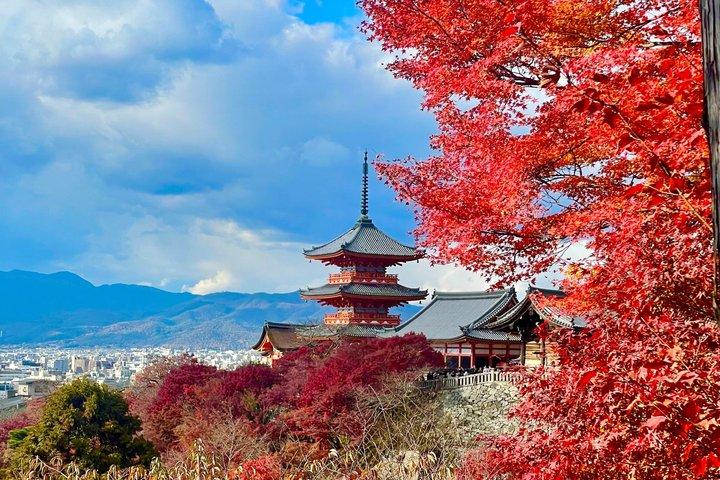 Visita a Fushimi Inari Taisha y Kiyomizudera con Guía en Español