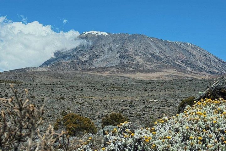 Mount Kilimanjaro 8 Day Private Lemosho Route Trek to Uhuru Peak