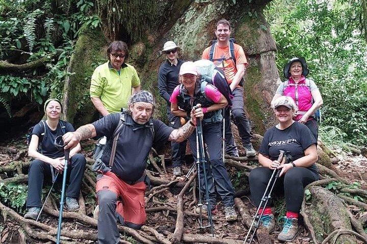 Mount Kilimanjaro 8 Day Private Lemosho Route Trek to Uhuru Peak