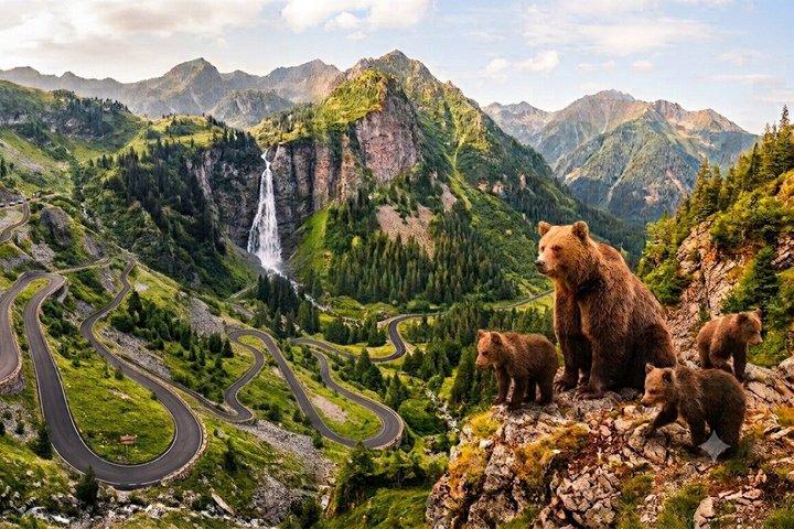 Transfăgărășan - Top Gear Road, Small-grupp max 7 & Pick-up