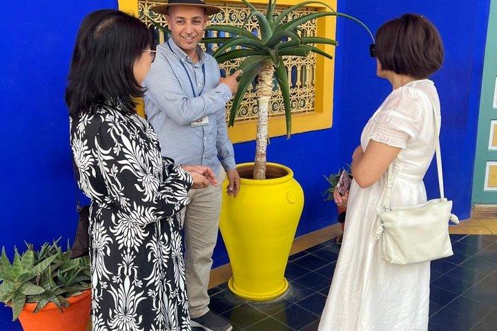 Tour privato di lusso di un giorno a Marrakech con prelievo dall'hotel