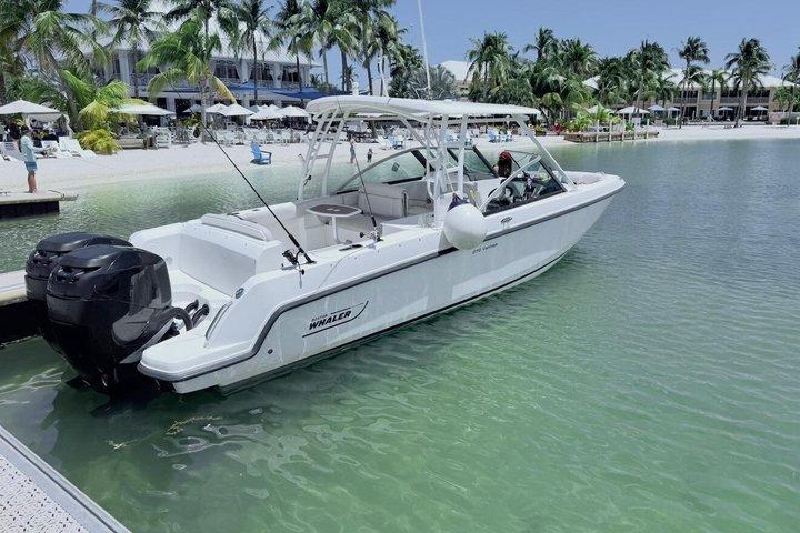 Stingray City, Star Fish Point et excursion en bateau privé avec plongée en apnée