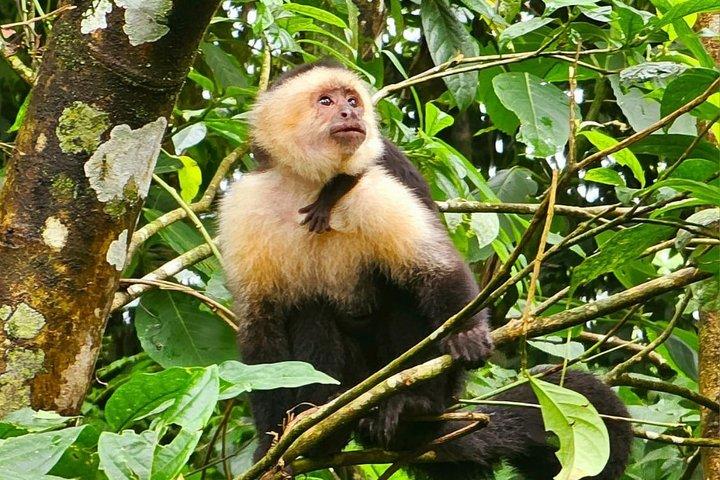 Palo Verde National Park - en vild smag af Costa Rica