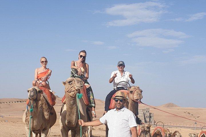 Explore Marrakech in VIP style – Multilingual private chauffeur