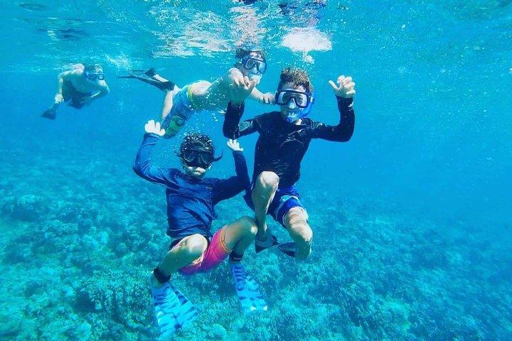 グランドケイマン・ストリングレイシティ、リーフシュノーケリング、スターフィッシュポイント
