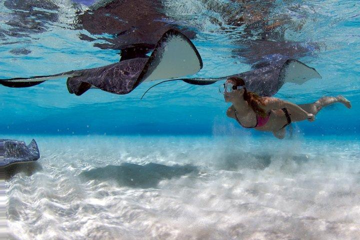 Grand Cayman Stingray City Coral Gardens and Barrier Reef Snorkel