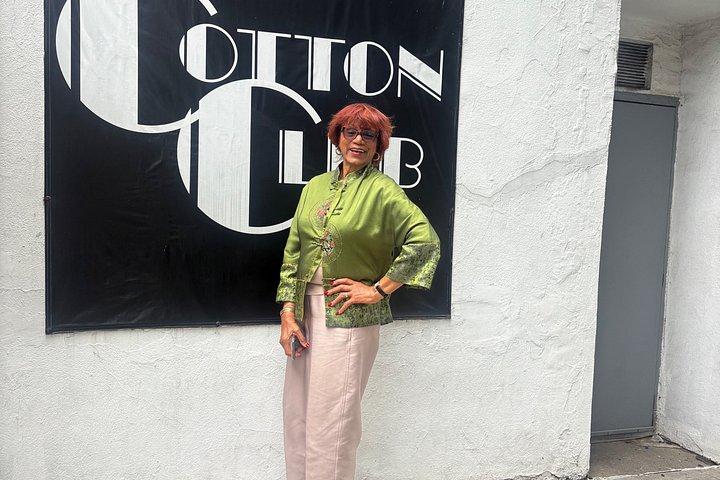 Harlem Historic Sites Guided Van Tour
