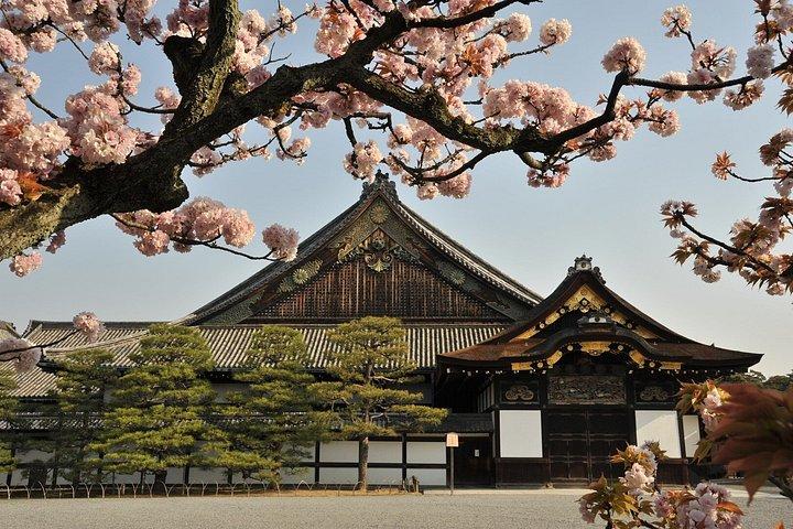 京都午前ツアー：金閣寺、二条城＆皇居