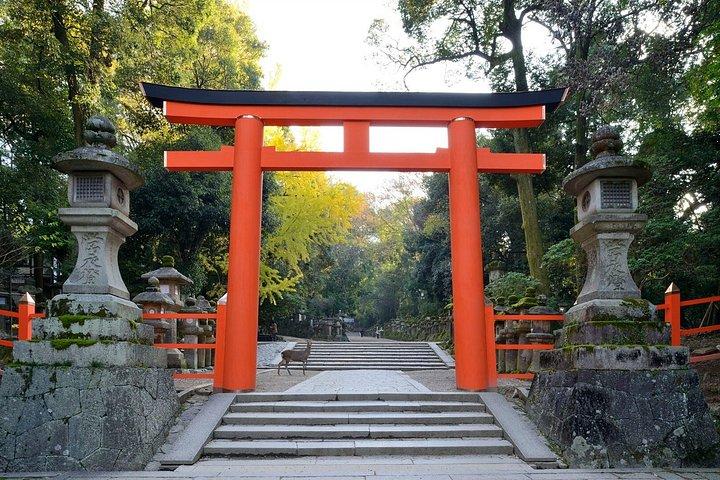 京都または大阪から奈良午後ツアー：東大寺、奈良公園