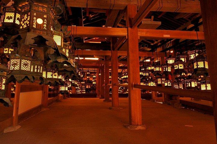 京都または大阪から奈良午後ツアー：東大寺、奈良公園