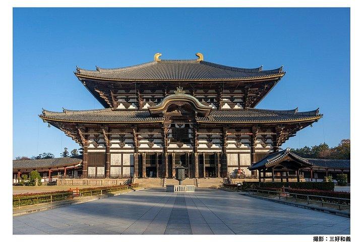 京都または大阪から奈良午後ツアー:東大寺、奈良公園