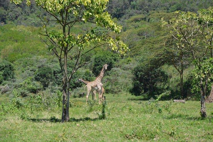 3 Day Mount Meru Climb Adventure