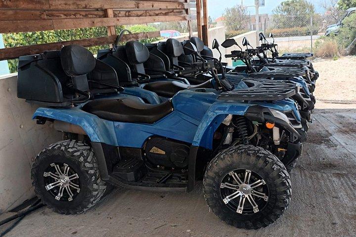 Express Buggy Tour Adonis Falls approx 3 hours