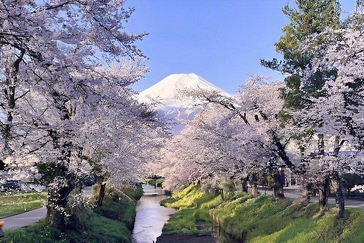富士山日帰りツアー：加地加地ロープウェイ、忍野八海＆抹茶